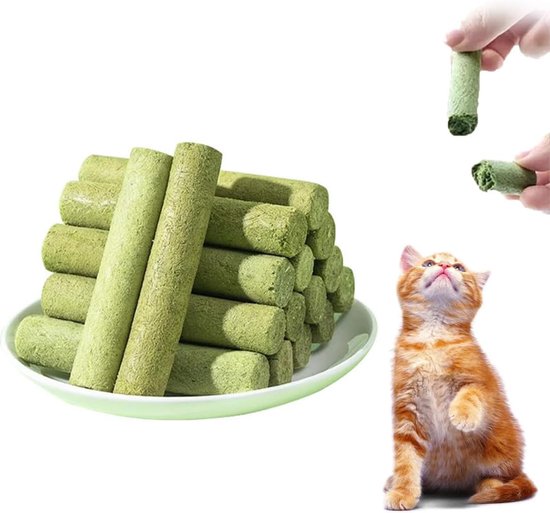 10 stuks kattengrassnack 50 g kattengras sticks gevriesdroogde snacks voor katten voor tandverzorging en haarballen verwijderen kattenkruid kattengras stick