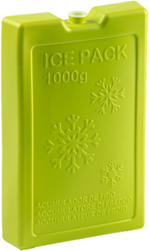 1000 grams koelelementen 22 x 14.5 x 3.5 cm groen plastic van Campart Travel