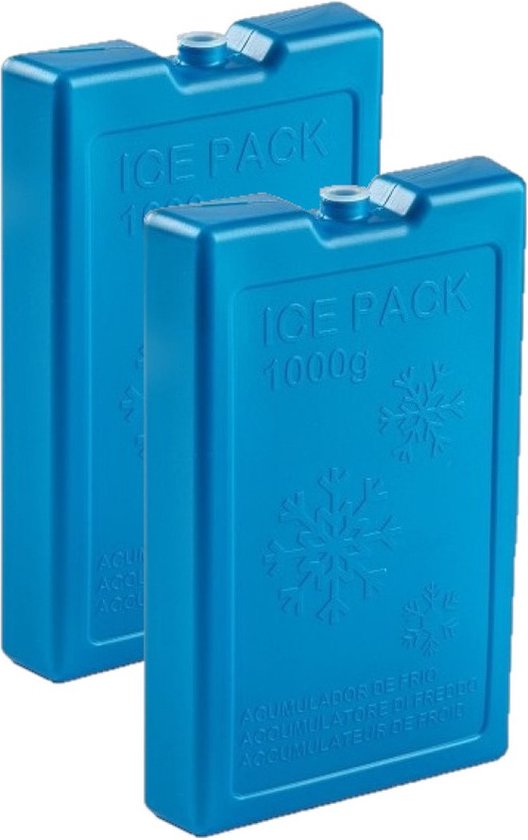2x stuks 1000 grams koelelementen 22 x 14.5 x 3.5 cm kobalt blauw kunststof met sneeuwvlokken print van Maximex