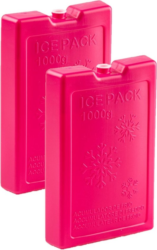2x stuks 1000 grams koelelementen 22 x 14.5 x 3.5 cm roze plastic van Bo-Camp