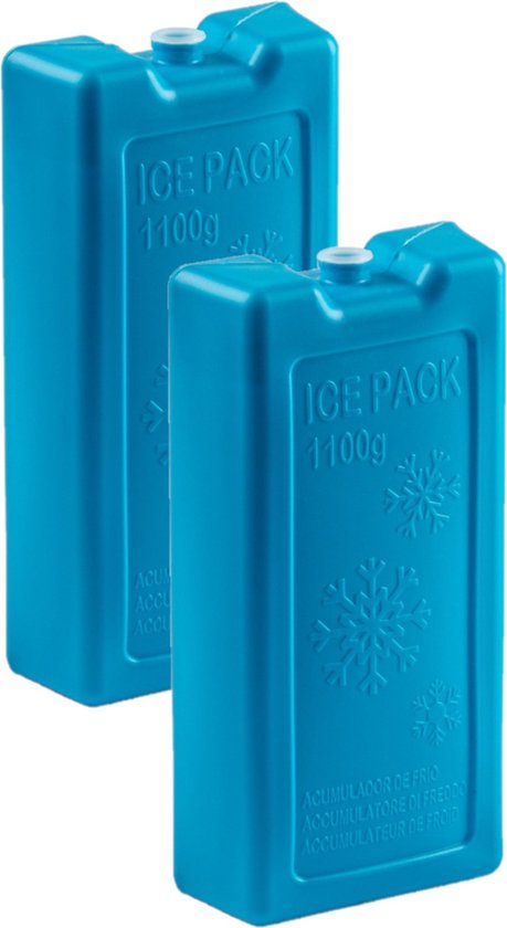 2x stuks 1100 grams koelelementen 22 x 11.5 x 5 cm blauw plastic van Sunware