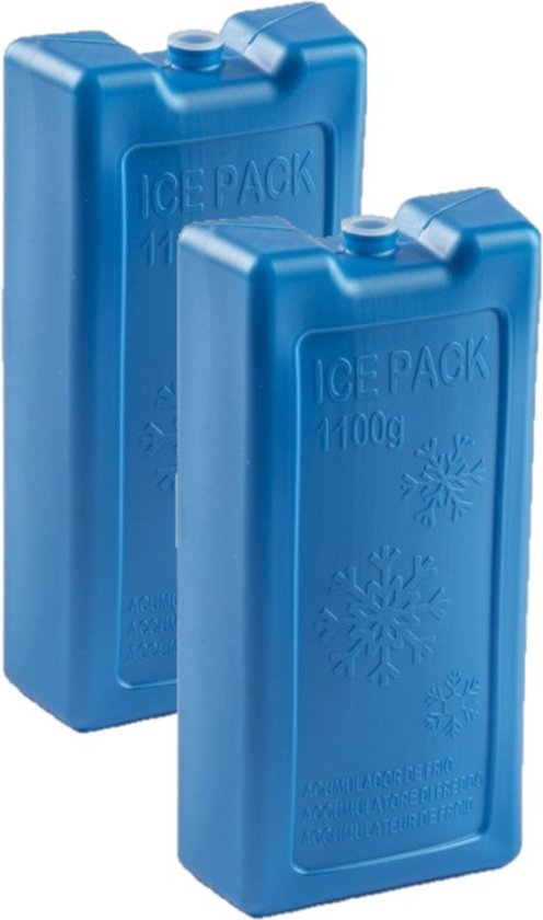 2x stuks 1100 grams koelelementen 22 x 11.5 x 5 cm kobalt blauw kunststof met sneeuwvlokken prints van Coolpack