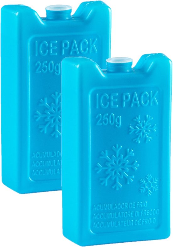 2x stuks 250 grams koelelementen 13 x 7.5 x 3 cm blauw plastic van Merkloos