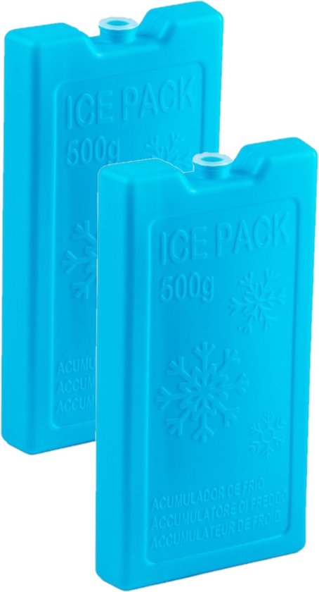 2x stuks 500 grams koelelementen 20 x 10.5 x 2.5 cm blauw plastic van Campart Travel