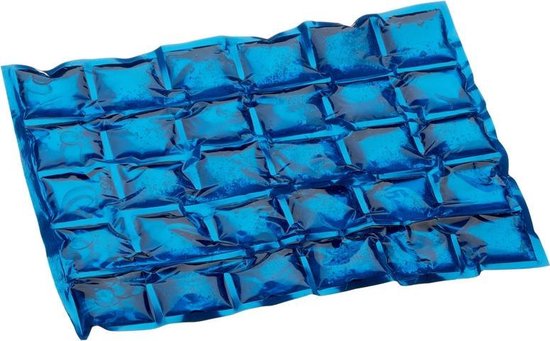 5x stuks flexibele koelelementen 24 x 29 cm - Flexibel koelkussen voor koelbox of koeltas van Spiru