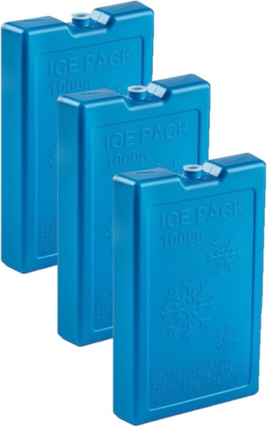 6x stuks 1000 grams koelelementen 22 x 14.5 x 3.5 cm kobalt blauw kunststof met sneeuwvlokken print van Koelbox Specialist
