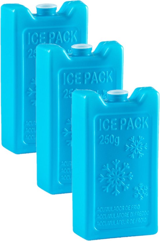 6x stuks 250 grams koelelementen 13 x 7.5 x 3 cm blauw plastic van Benson