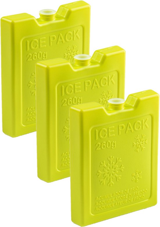 6x stuks 260 grams koelelementen 13 x 10.5 x 2 cm groen plastic van Rotpunkt