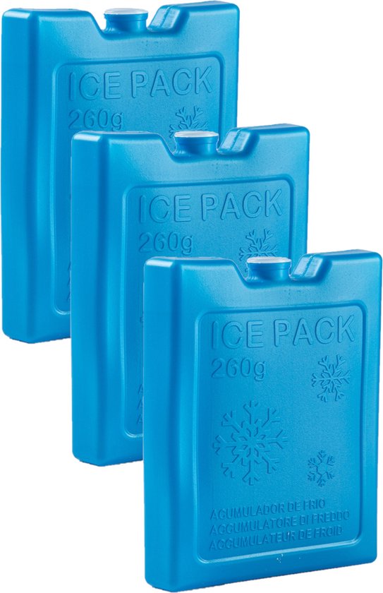 6x stuks 260 grams koelelementen 13 x 10.5 x 2 cm kobalt blauw kunststof met sneeuwvlokken print van Iceclix
