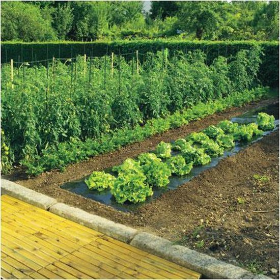 Afdekfolie ‘Terrafilm' 5 x 1,4 m van Nature