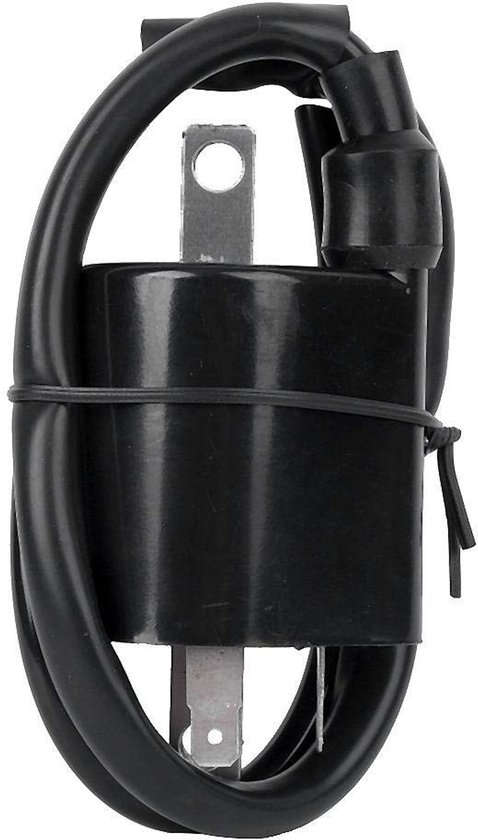 Allecto - Ignition Coil - Verbeterde Prestaties - Betrouwbaar - Geschikt voor Virago 535 XV535 1987-2000 - Hoogwaardige Kwaliteit - Verhoogt de Eff... van Merkloos