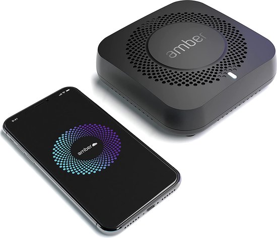 Amber X - Slimme Persoonlijke Hybride Cloud Opslag - NAS - 512 GB SSD - 6 Core ARM-Processor van LatticeWork