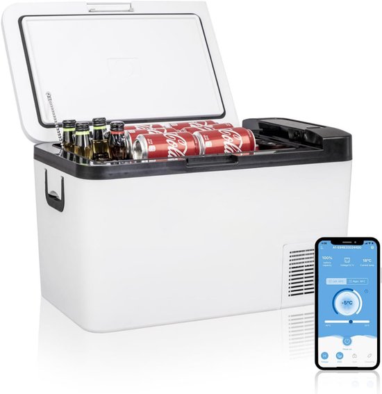 ApexArte® Auto Koelkast - Mini Koelkast - Elektrische Koelbox Elektrisch 12v 230 Volt van Merkloos