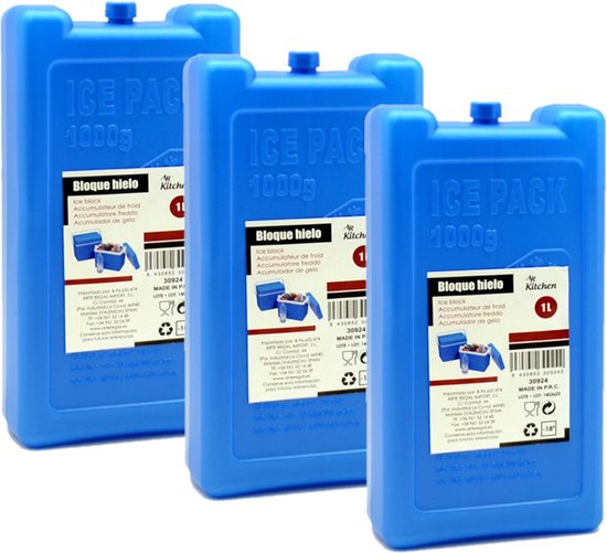 Arte R Koelelementen groot blok - 3x - 1000 ml - 11 x 5 x 22 cm - blauw - Koelblokken/koelelementen voor koeltas/koelbox van Arte