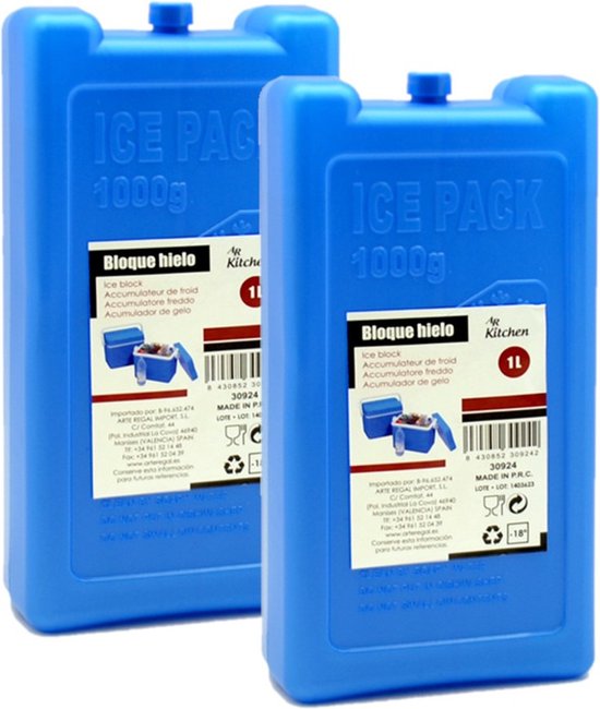 Arte R Koelelementen groot blok - 4x - 1000 ml - 11 x 5 x 22 cm - blauw - Koelblokken/koelelementen voor koeltas/koelbox van Arte