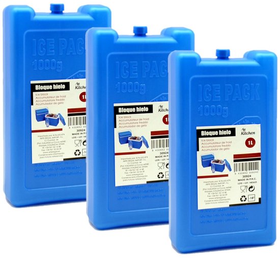Arte R Koelelementen - Set van 6x stuks - groot blok - 1000 ml - 11 x 5 x 22 cm - blauw - voor koeltas en koelbox