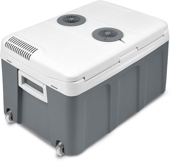 Aufun Koelbox Minikoelkast 48L - Met ECO Modus - Warmhouden en Koelen - voor Auto Wrachtwagen Boot Camper - Grijs van Merkloos