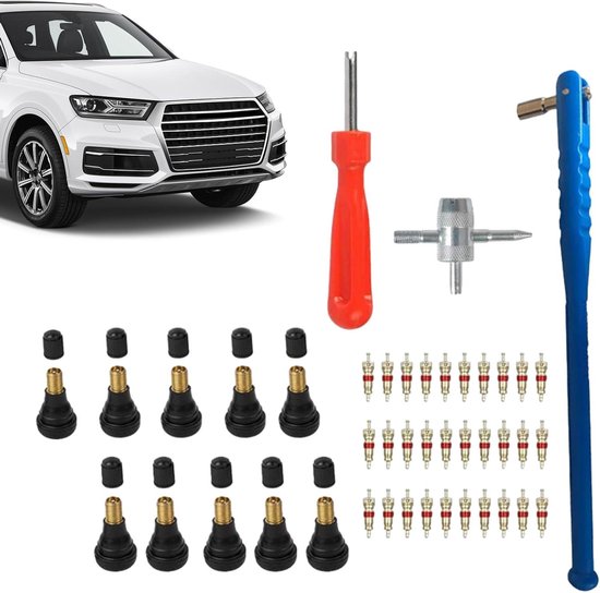 Band Valve Tool - Reparatieset - Band Onderhoud - Uitgebreide Set - 43 Delen - A