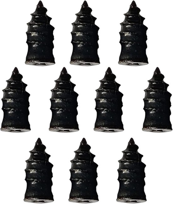 Bandenreparatie Nagels - Lekke Banden Stop - Snel Banden Herstellen - Goede Afdichting - 10 Stuks - Zwart