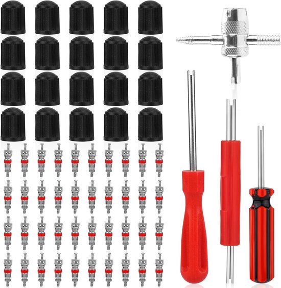 Bandenventiel Gereedschapsset - Ventiel Reparatie Kit - Banden Onderhoud - 4-in-1 Multifunctioneel - 64 Delig - Grijs