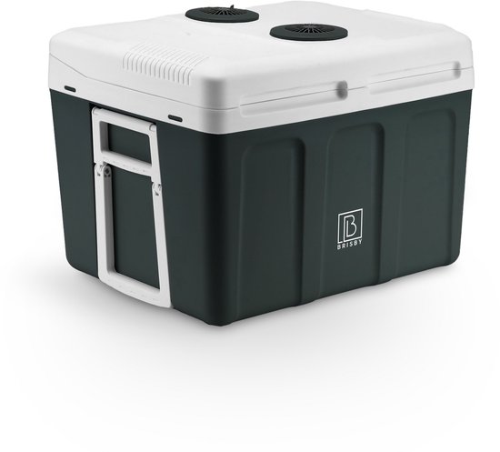 Brisby 40 Liter Elektrische Koelbox, Frigobox Deluxe met 12V, 220/230 Volt Aansluiting voor Auto en Camping – AC/DC - ZWART van Brisby