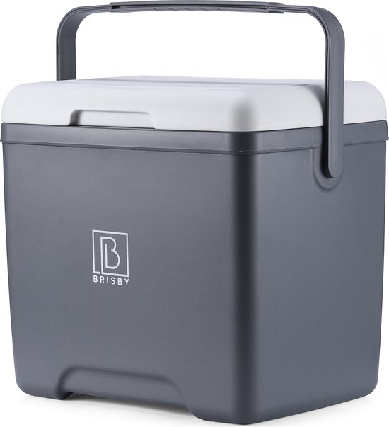 Brisby Koelbox - Frigobox - 13L - Grijs - Tot maximaal 40 uur isolatie - Incl. 2 dikke koelelementen van 450ml - Temperatuur veilige sluiting - Nieuw ontwerp met koelelement vergrendeld in deksel van Brisby