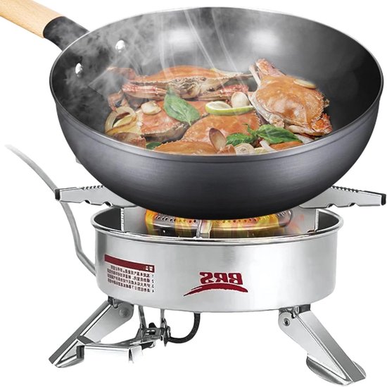 Camping Kooktoestel - Draagbaar Fornuis - Buiten Koken - Windbestendig Ontwerp - 20 cm Pan - Zilver