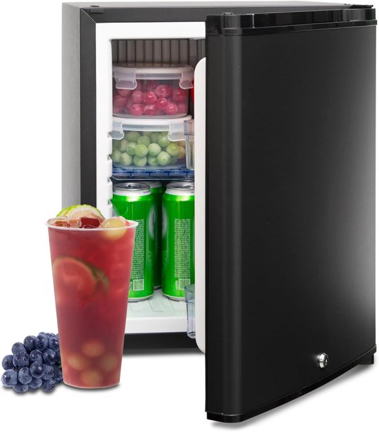 Camping Mini Absorptie Koelkast 30L met Slot - Omkeerbare Deur - Stil en Ruimtebesparend van Merkloos