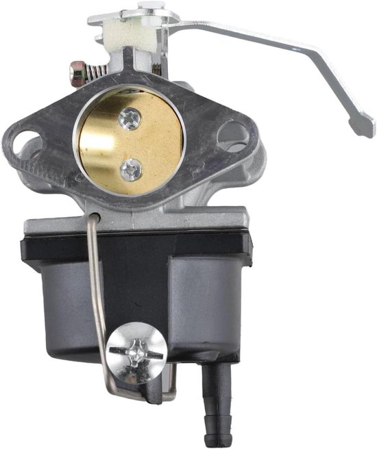 Carburateur Kit - Brandstofsysteem Onderdeel - Motor Herstellen - Verbeterde Brandstofstroom - 272 Gram - Metaal