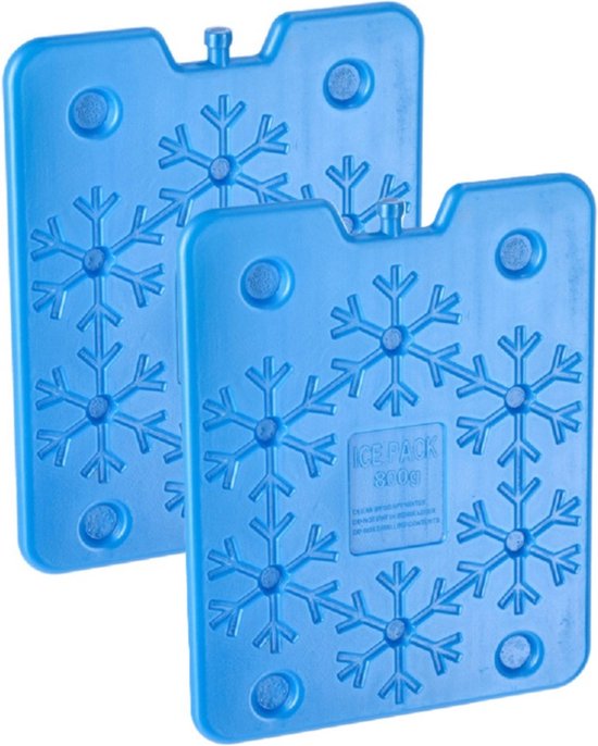 Cepewa Plat groot koelelement - 2x - blauw - kunststof - 800 ml - 25 x 32 cm - Koelblokken/koelelementen voor koeltas/koelbox van Cepewa
