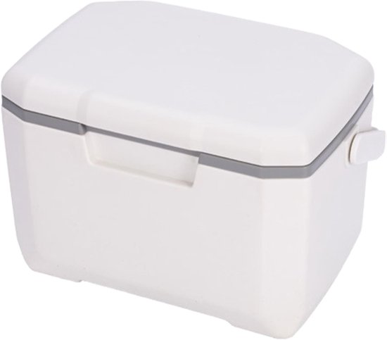 Compacte 6L Koelbox met 5 Koelaccu's - Lekvrije Isolatie voor BBQ, Kamperen en Reizen met Handvat