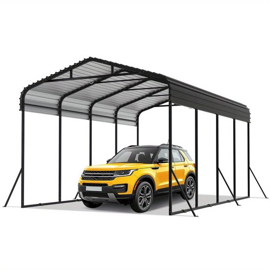 Corenia Carport - auto overkapping garage - extra ruim 450x300x250 cm van Merkloos