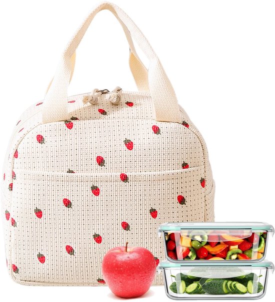 Dailygoods- Lunchtas waterdicht - Koeltas - Dubbellaags - 26 x 21 x 18 cm - Schouderriem voor dames - Voor kantoor en school