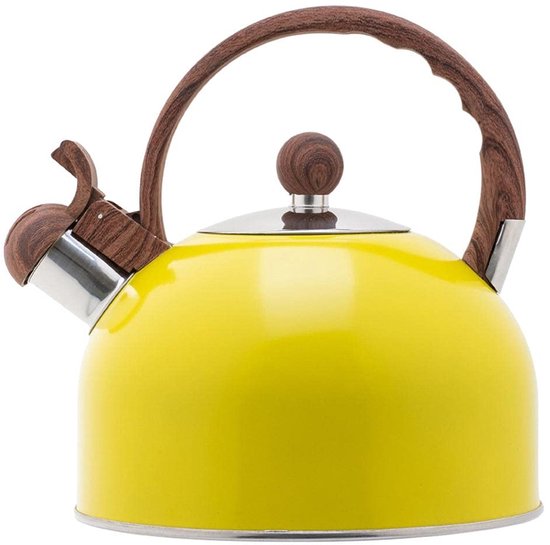 Dailygoods - Roestvrijstalen Pijpwaterkoker voor Camping en Thuisgebruik