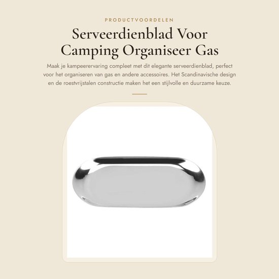 Dailygoods- Serveerdienblad Groot Formaat - Organizer - Kunststof - Roestvrij Staal - Scandinavische Stijl - 230 x 94 mm - Opbergbak