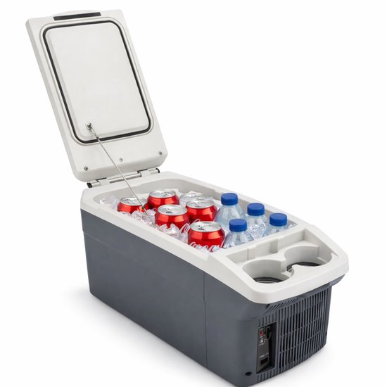 Davilon Polar X Koelbox 6L – Elektrische Koelbox 12V & 230V – Koelbox Auto – Koelt & Verwarmt – Compacte Kleine Koelbox voor Auto, Camping & Thuis