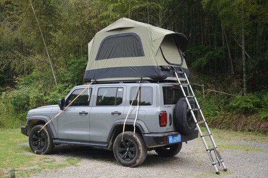 Deliqa auto tent - opblaasbare daktent - tent voor op de auto - groen/zwart - met handpomp/matras/ladder - geschikt voor SUV / Jeeps en andere auto's met dakdragers - 2 personen + een kind - 140 x 220 x 145 cm van Merkloos