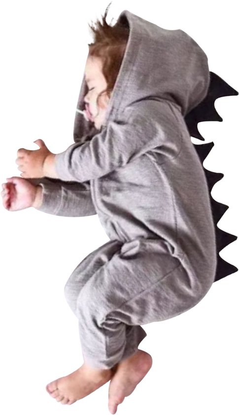 Dino - Dinosaurus - Dier - Draak - Baby Boxpakje Onesie Romper Grijs - 4 jaar van Dino.