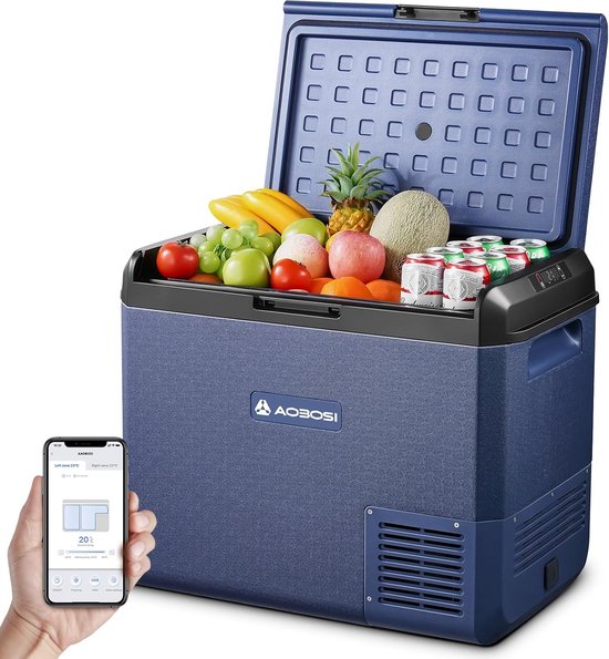 Draagbare Compressor Koelbox 50L: Vriezer voor Auto, Camper en Boot, Werkt op 12V en 220V van Merkloos