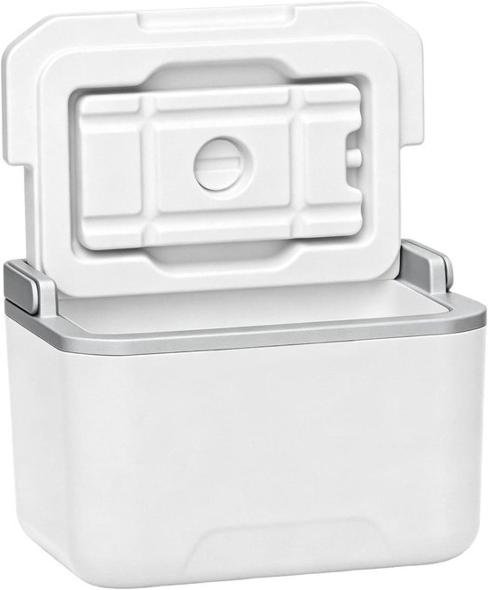 Draagbare Koelbox - Outdoor Koeler - Drankjes Koel Houden - Lekvrij Geïsoleerd Ontwerp - 5 Liter - Niet gespecificeerd