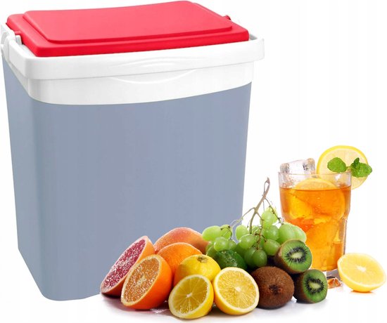 Eda Tropic koelbox - 25 liter - kunststof - grijs - 39 x 29 x 42 cm van EDA