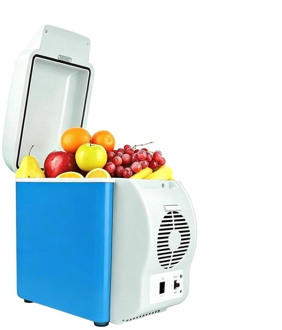 Elektrische Koelbox - Auto Koelkast Camping - Dranken Koel Houden - Draagbaar Compact Ontwerp - 31 Centimeter - Uniek Kenmerk