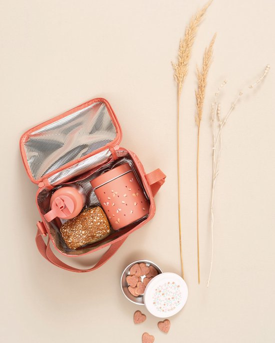 Fresk Kleine Koeltas Kind 2.5 L– Lunchtas Meisjes – Thermische Lunch Koeltas - Met Bestekvak - Waterafstotende Lunchtas - Roze - Butterflies van Merkloos