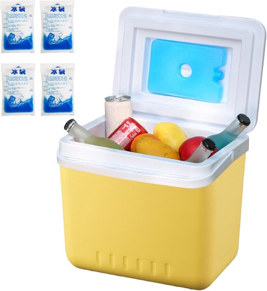 Geïsoleerde Koelkast - Draagbare Koelbox - Buiten Activiteiten - Constante Koude - 6 Liter Capaciteit