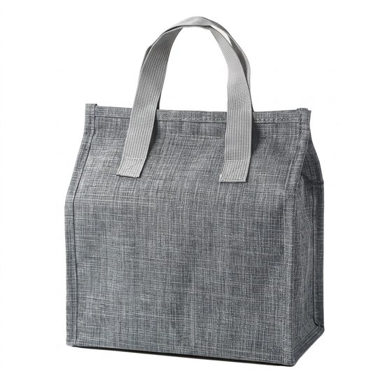 Grijze koeltas dames en heren draagbare lunch tas geïsoleerde handtas met dubbele handgreep effen lunchbox tas geschikt voor werk school picknick woon werkverkeer en dagelijks gebruik rechthoekige tote bag stijl