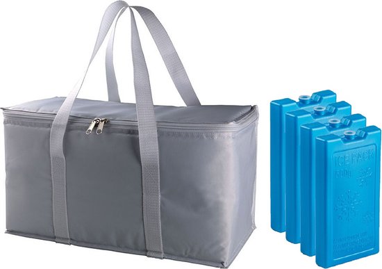 Grote isolatie koeltas zilver/grijs 39 x 22 x 19 cm met 4x stuks blauwe koelelementen van SportX