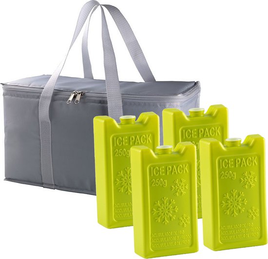 Grote isolatie koeltas zilvergrijs 39 x 22 x 19 cm met 4x stuks groene koelelementen van Summertime