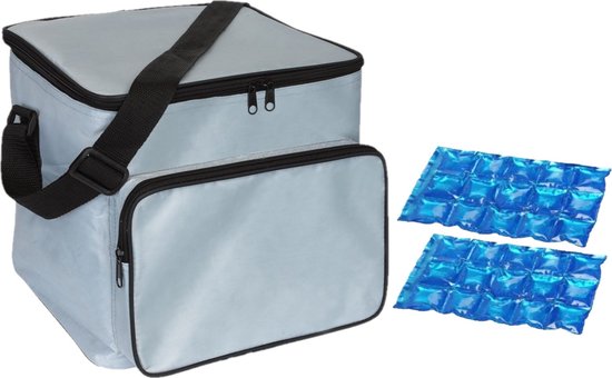 Grote koeltas zilver met 2 stuks flexibele koelelementen 21 liter van Tristar