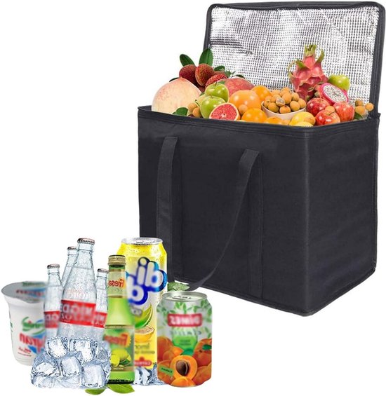 Grote Opvouwbare Thermotas 40L voor Camping, Barbecue en Strand van TOMaxx