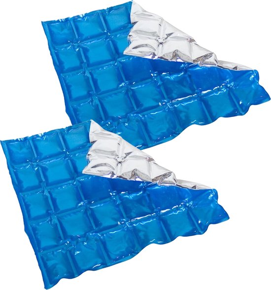 Herbruikbare flexibele koelelementen - 2x - icepack/ijsklontjes - 28 x 25 cm - blauw van Merkloos
